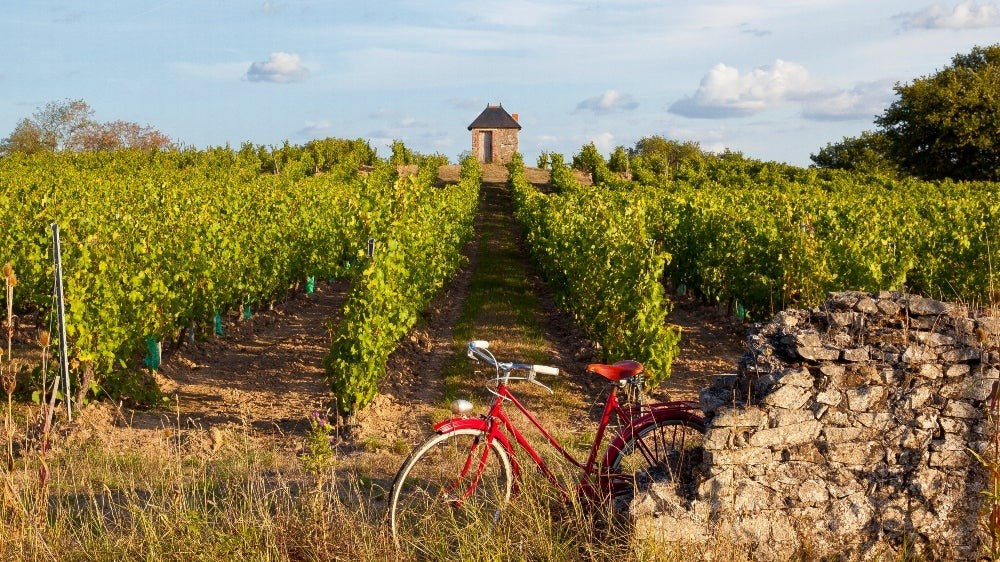 Domaine Du Petit Clocher