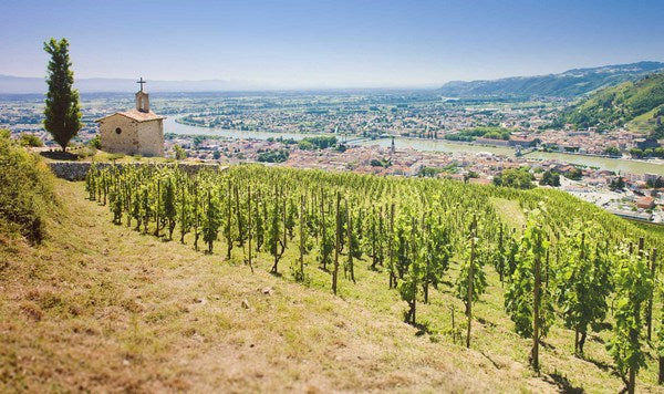 Domaine Reynaud