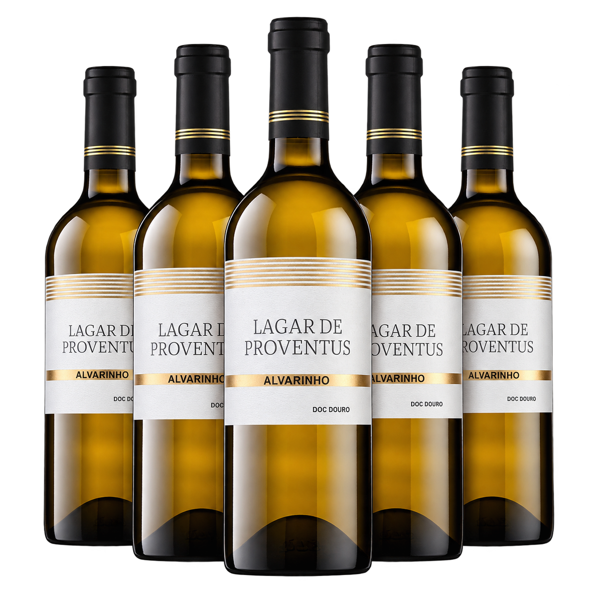 Caja de 6 botellas de Lagar de Proventus Alvarinho