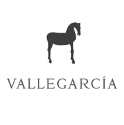 Logo Vallegarcía